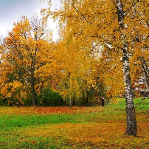 Photo #9703075