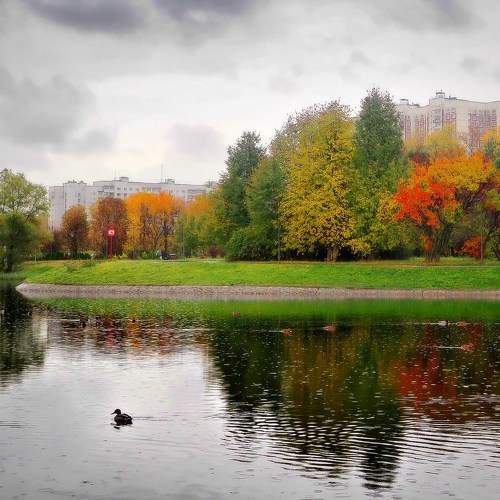 Photo #9703083