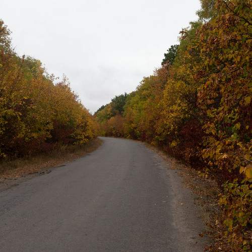 Photo #9703207