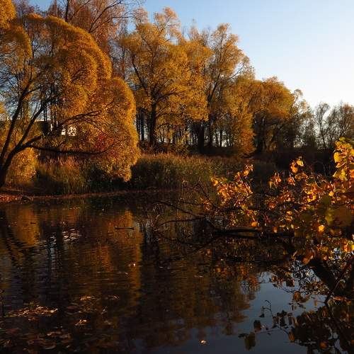 Photo #9703460