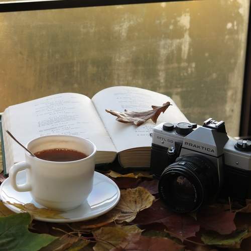 Photo #9703467