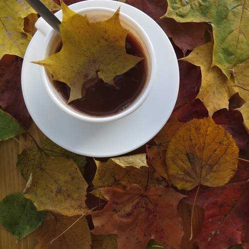Photo #9703480