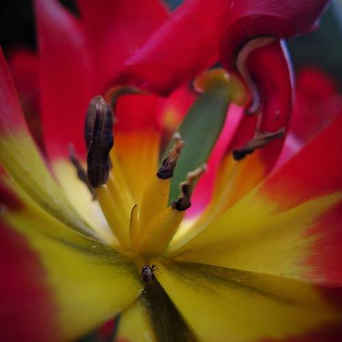 Photo #9703505