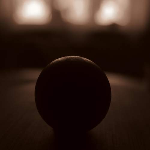 Photo #9703529