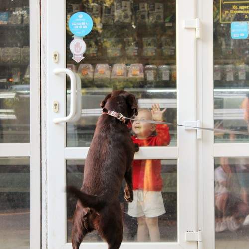 Photo #9703541