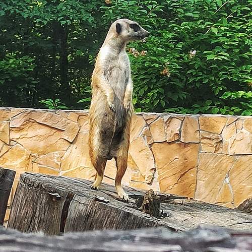 Photo #9703577
