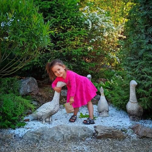 Photo #9703599