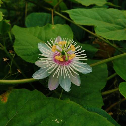 Photo #9703612