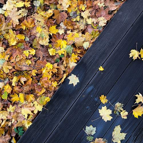 Photo #9703628