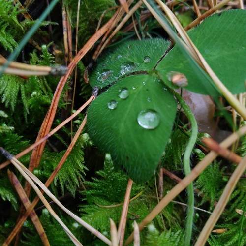 Photo #9703632