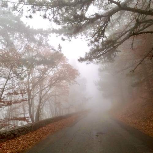 Photo #9703762