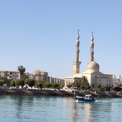 Photo #9704247