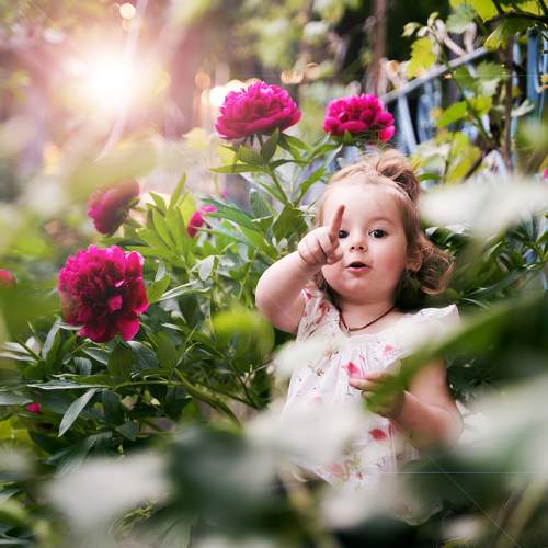Photo #9704509