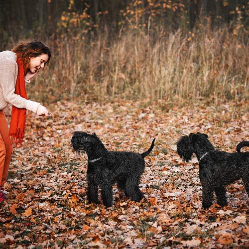Photo #9704513