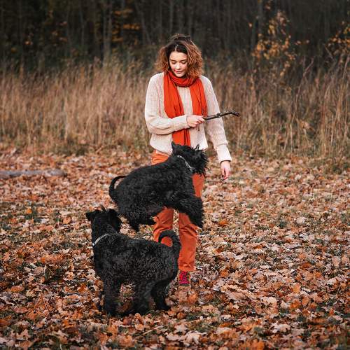 Photo #9704525