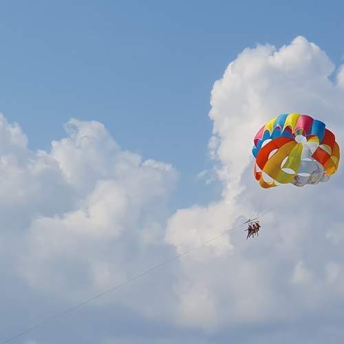 Photo #9704602