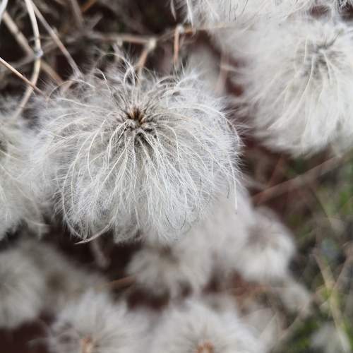 Photo #9704609