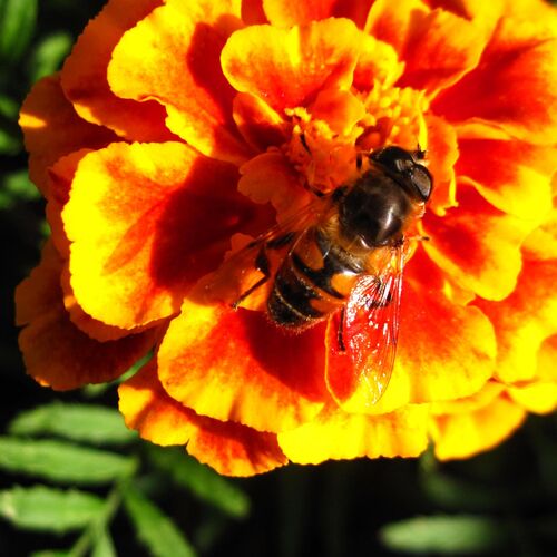 Photo #9704641