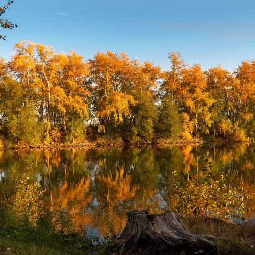 Photo #9704807
