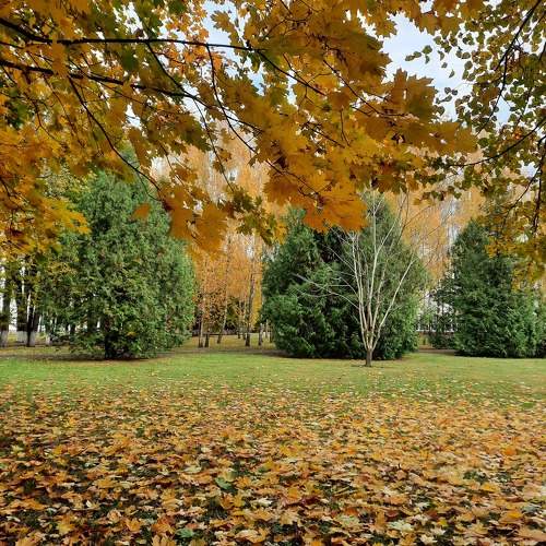 Photo #9704837