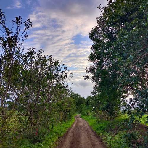 Photo #9704935