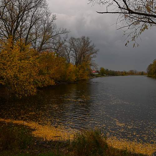 Photo #9704978
