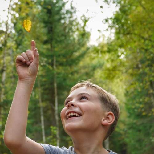 Photo #9705017