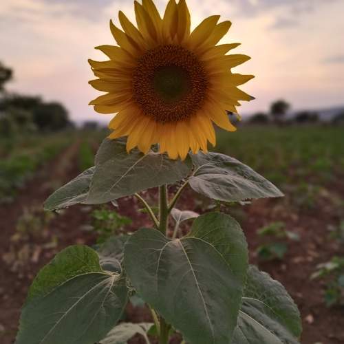 Photo #9705111