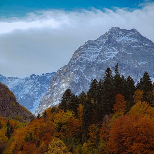 Photo #9705137