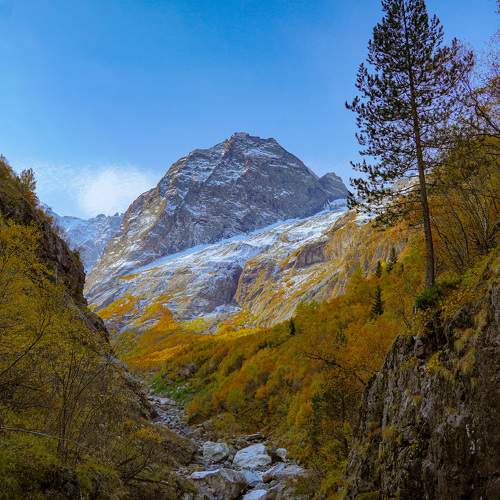 Photo #9705143