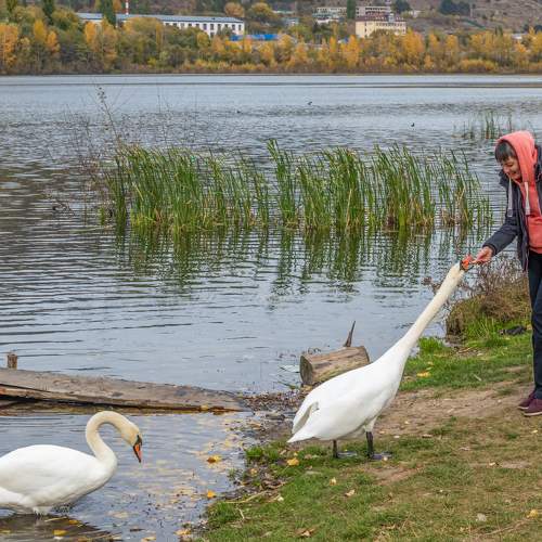 Photo #9705174