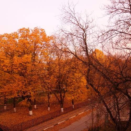 Photo #9705254