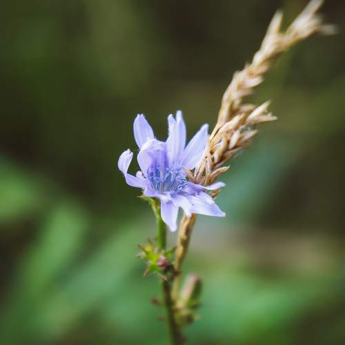 Photo #9705312