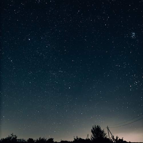 Photo #9705373