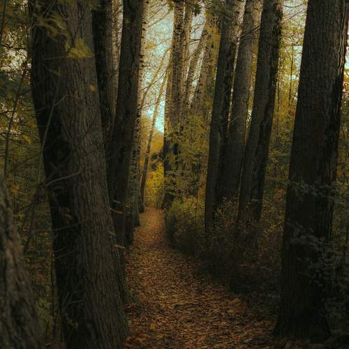 Photo #9705423