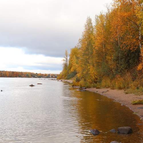 Photo #9705426