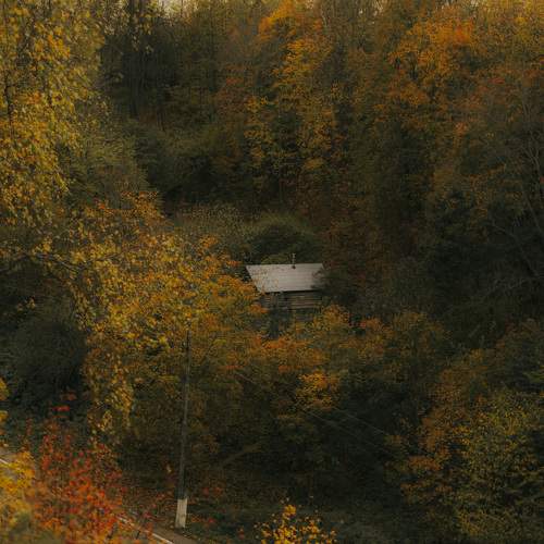 Photo #9705428