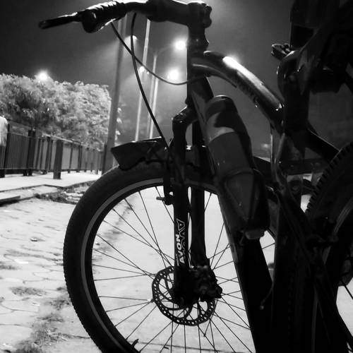 Photo #9705434