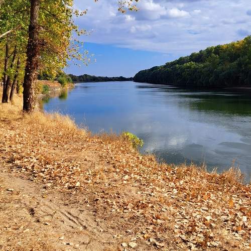Photo #9705649