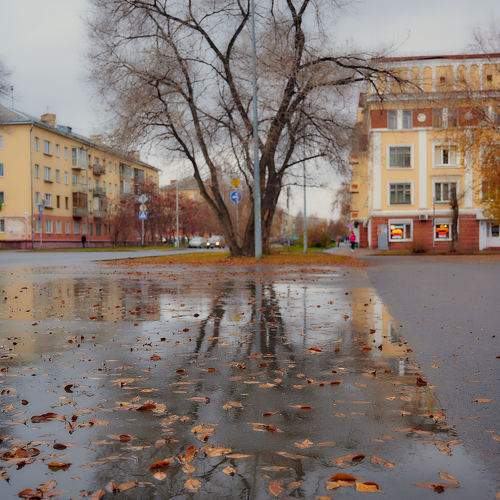 Фотография #9705965