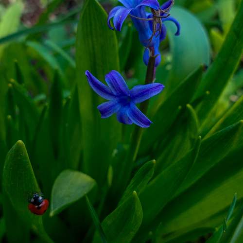 Photo #9706098