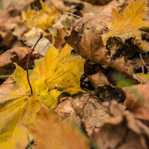 Photo #9706271