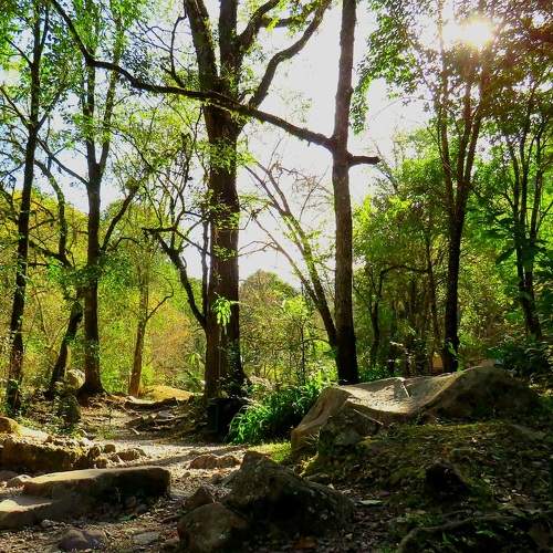Photo #9706362