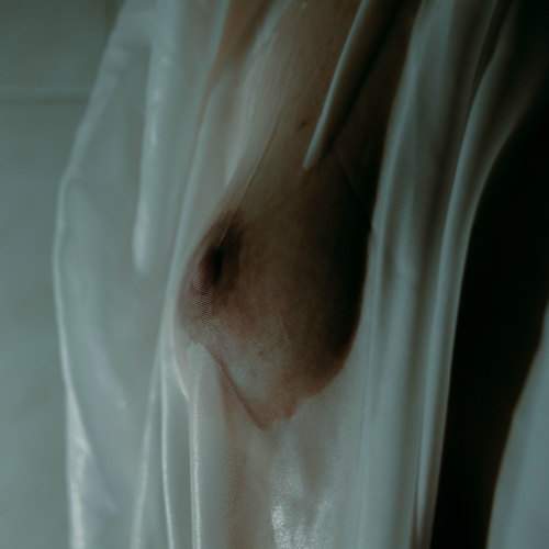 Photo #9706704