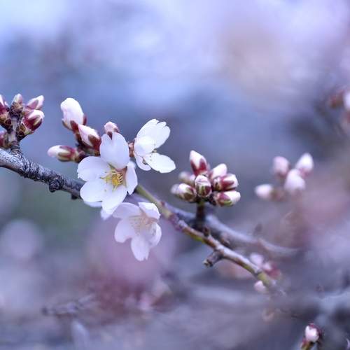 Photo #9706770