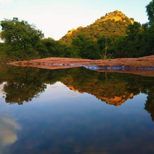 Photo #9707025
