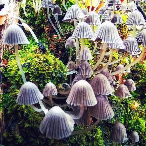 Photo #9707219
