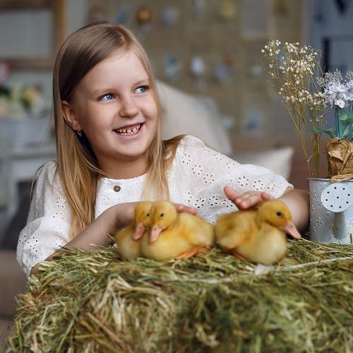 Photo #9707280
