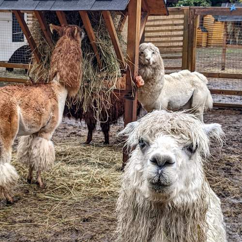 Photo #9707357