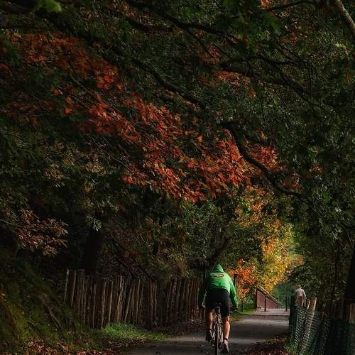 Photo #9707444